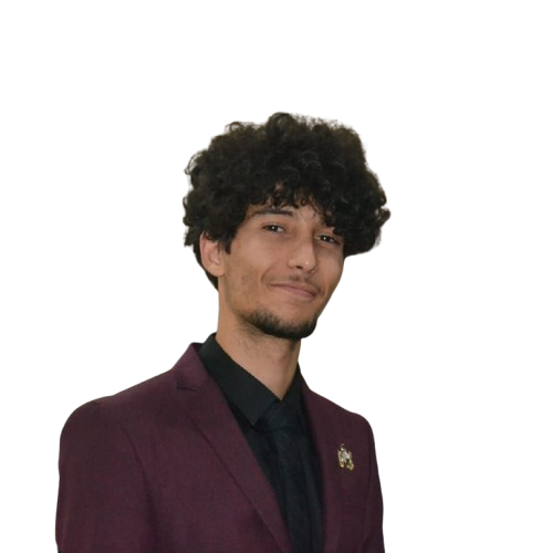 Mohamed Aziz Ben Hmidene